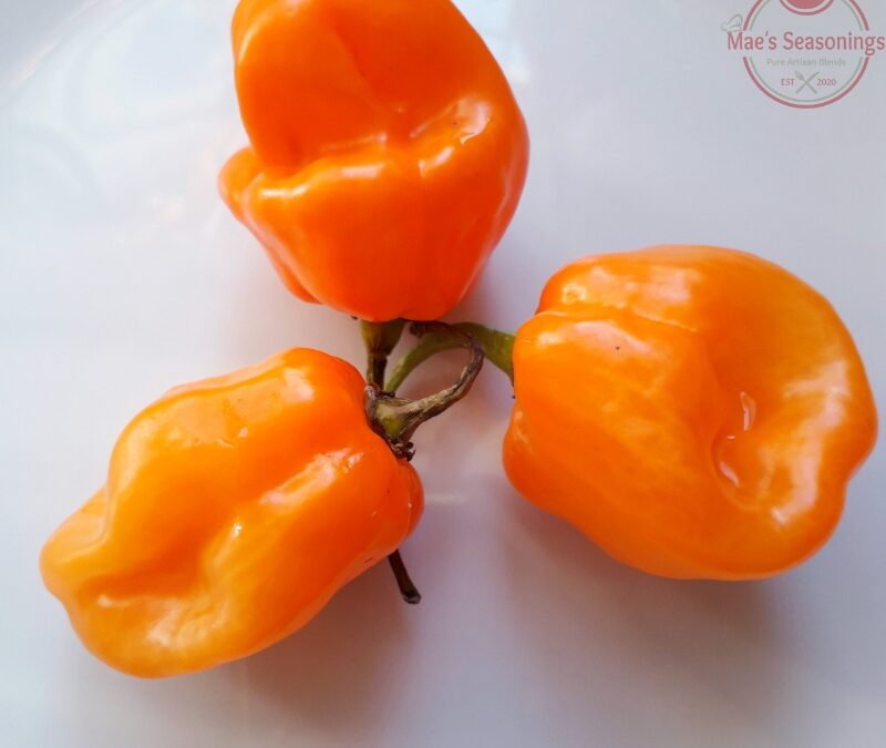 Habanero