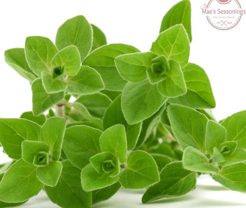 Marjoram
